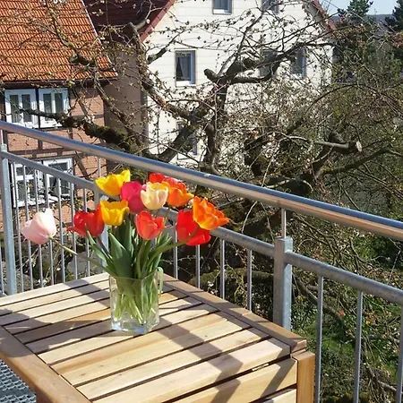 Apartmán Arthaus 8