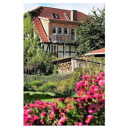 Arthaus 8 Trendelburg